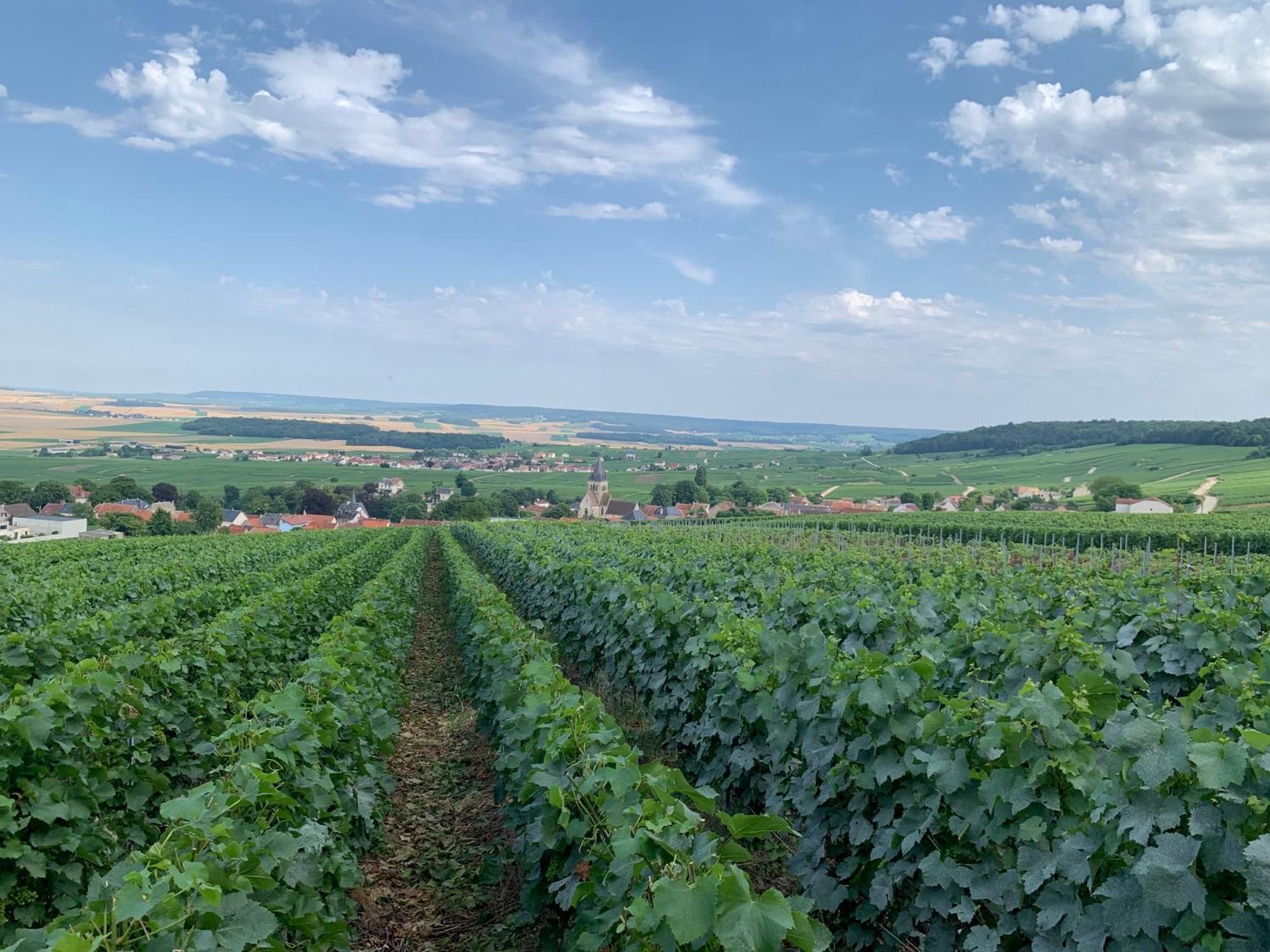 Les Suites Champenoises Танкю Екстериор снимка